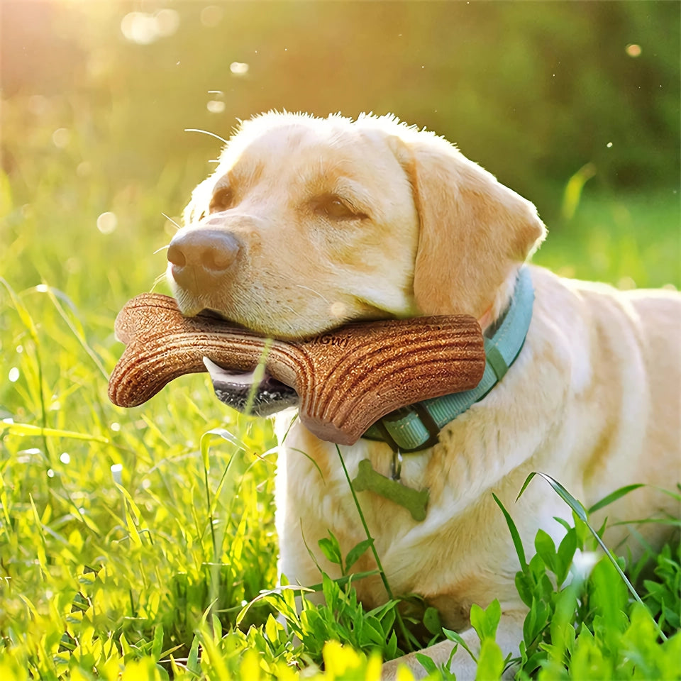 Real Wood Deer Chew Toy for Dogs