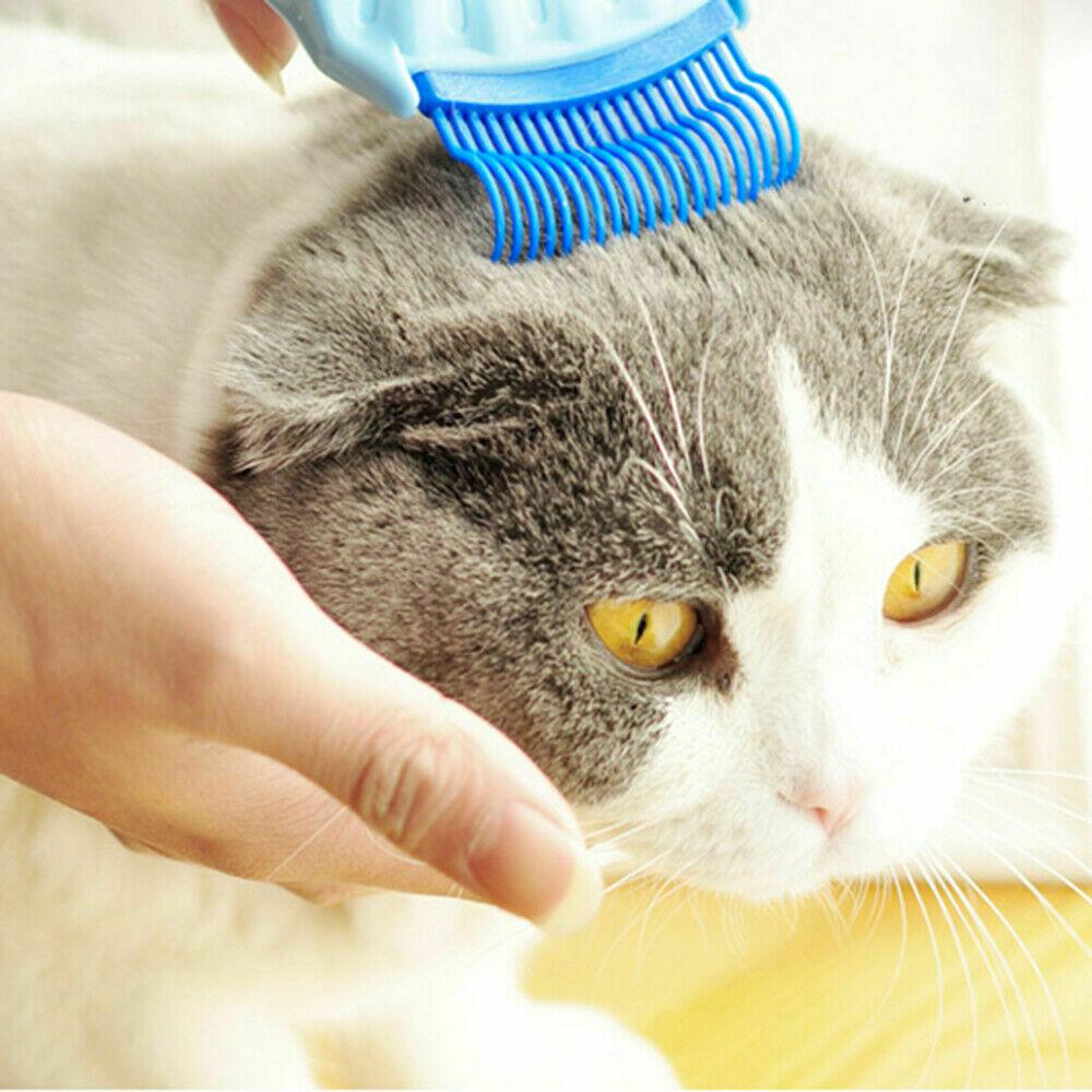 Pet Massage Shell Brush - MRSLM