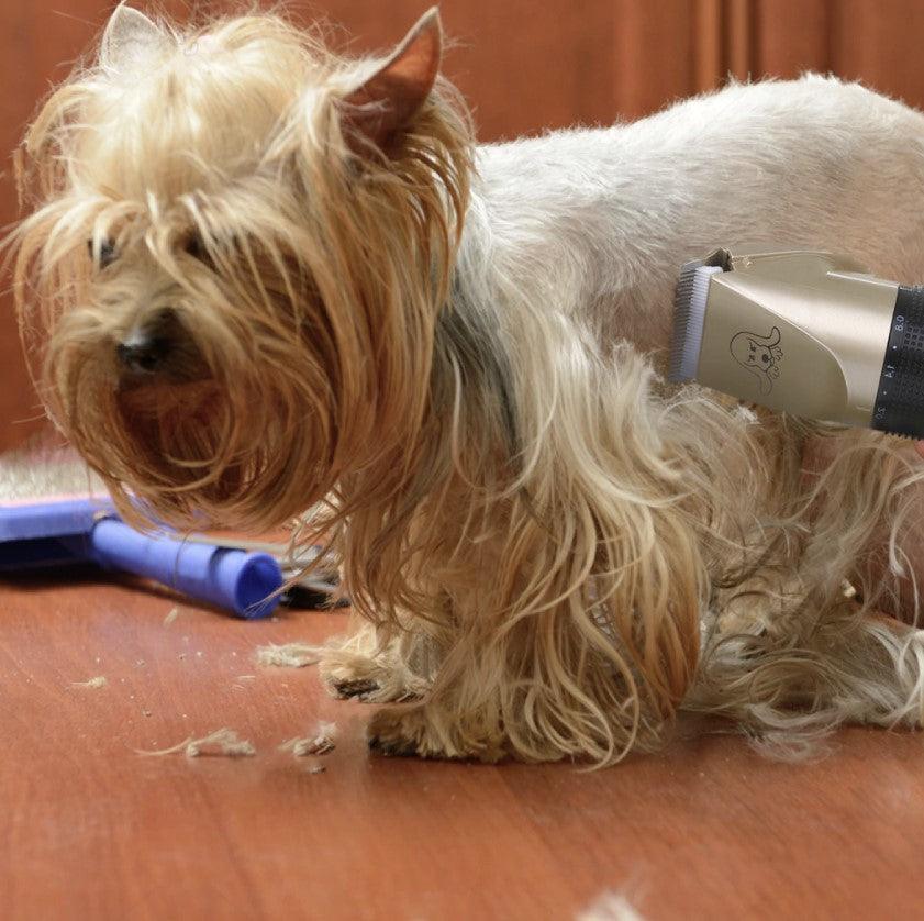Pet Grooming Tool - MRSLM
