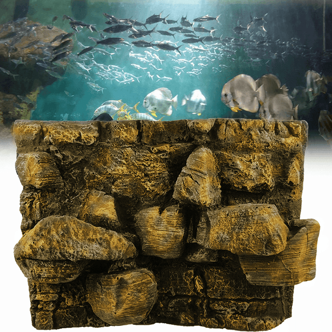 Fish & Aquatic Pets