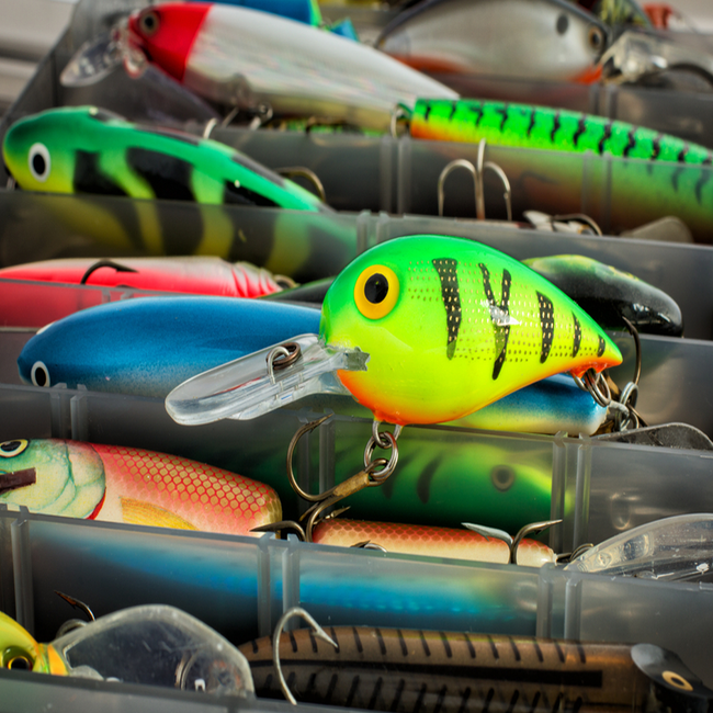 Fishing Lures