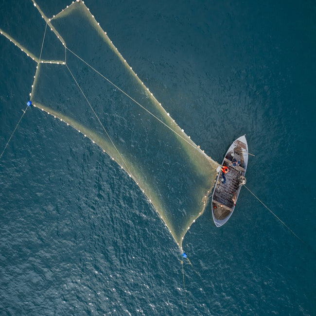Fishing