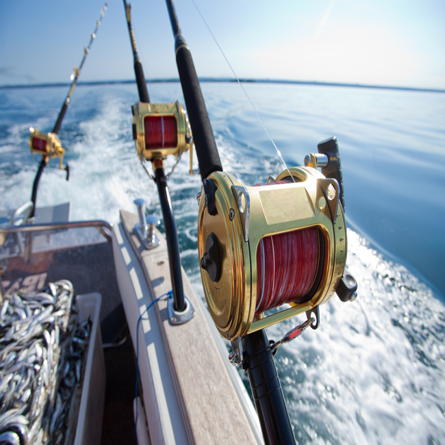 Fishing Reel