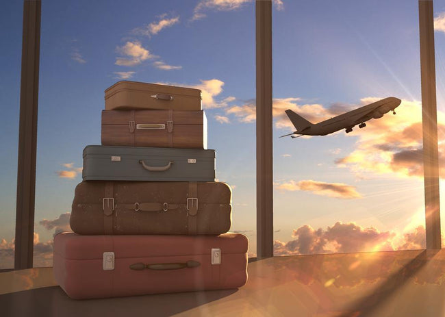 Luggage & Travel
