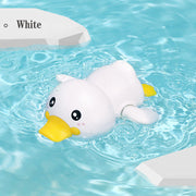 clockwork bathing ducks, view 2 - MRSLM