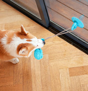 durable dog chew toy with suction cup, view 12 - MRSLM
