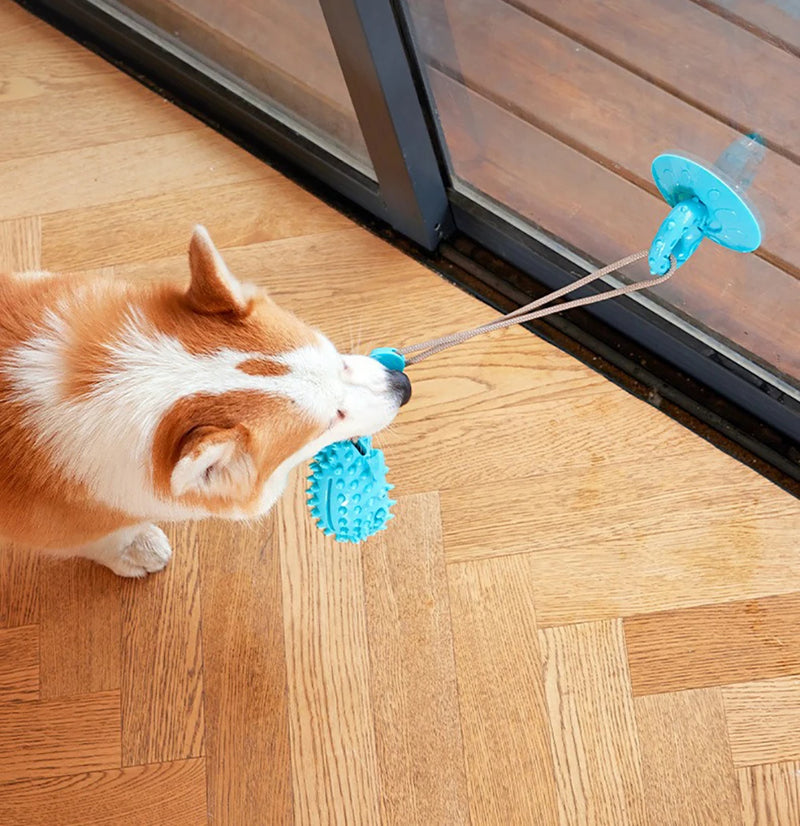 durable dog chew toy with suction cup, view 12 - MRSLM