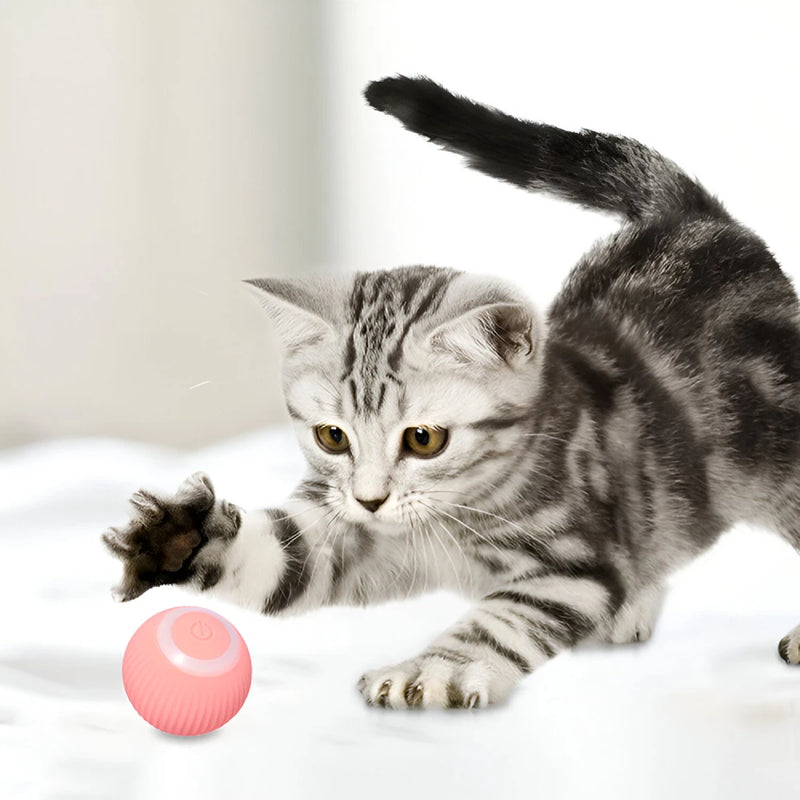automatic rolling ball toy, view 9 - MRSLM