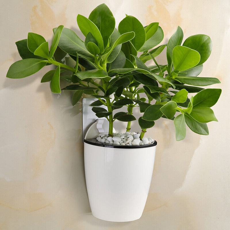 wall-mounted hydroponic flowerpot, view 3 - MRSLM
