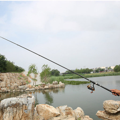 carbon hand and sea fishing rod - MRSLM