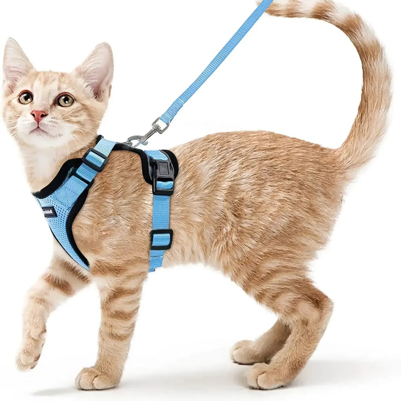 cat harness and leash, view 6 - MRSLM