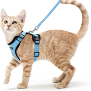 cat harness and leash, view 7 - MRSLM