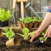 Biodegradable paper nursery pots and plant labels set, view 4 - MRSLM