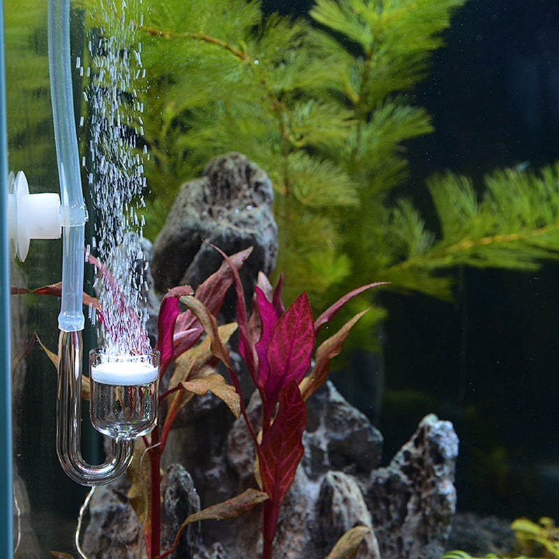 co2 diffuser system for aquariums, view 4 - MRSLM