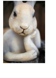 rabbit bust sculpture, view 9 - MRSLM