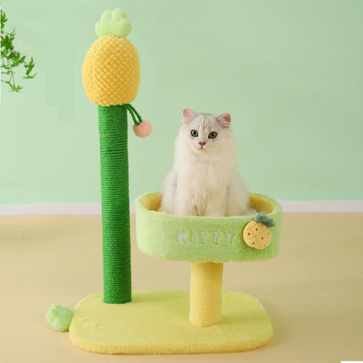 deluxe cat climbing frame with sisal scratch post - MRSLM