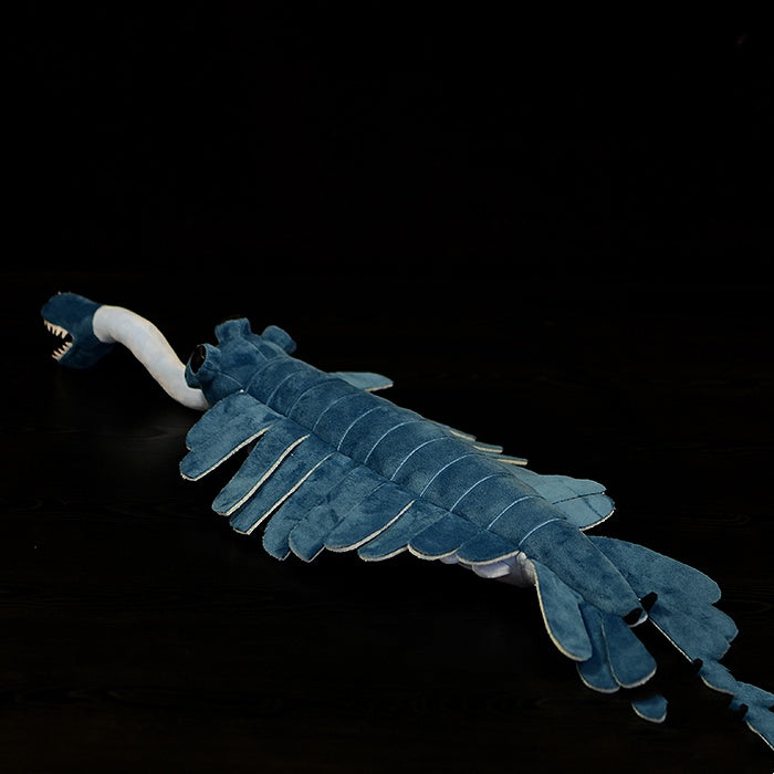 b58b6fdba386e57b731c3eadf097d331