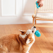 durable dog chew toy with suction cup, view 11 - MRSLM