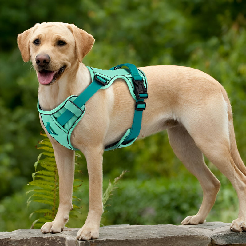reflective no-pull dog harness, view 5 - MRSLM