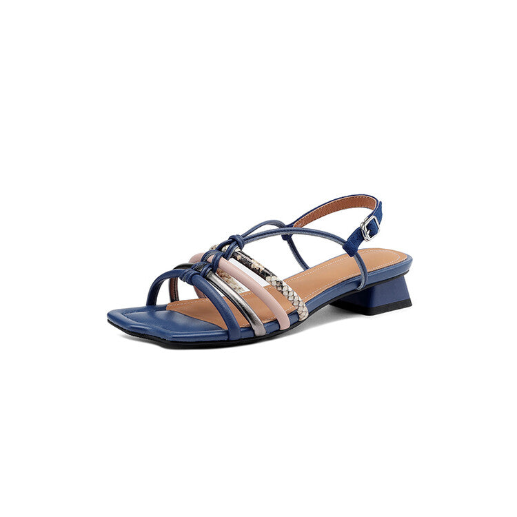 colorful buckle strap chunky heel sandals, view 2 - MRSLM
