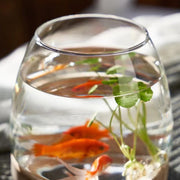 round glass desktop fish tank, view 10 - MRSLM