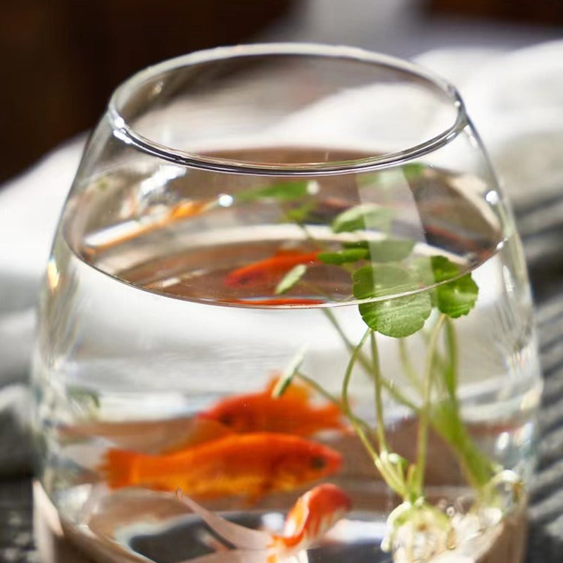 round glass desktop fish tank, view 10 - MRSLM