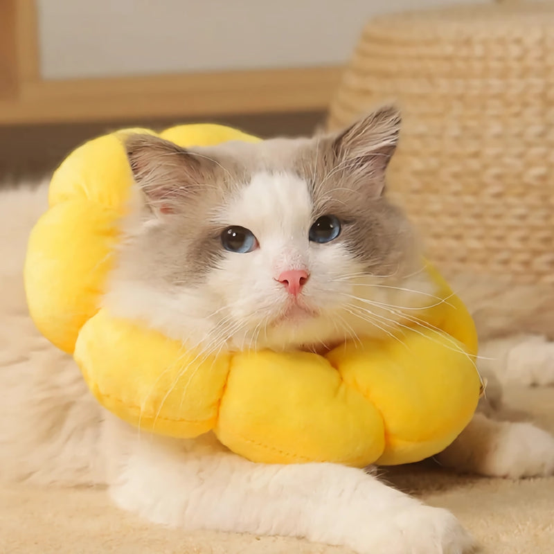 yellow sunflower cat collar, view 2 - MRSLM