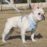 adjustable no-pull dog harness set, view 8 - MRSLM