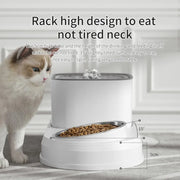 cat water fountain and feeder, view 7 - MRSLM