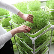 microgreens sprouting tray, view 6 - MRSLM