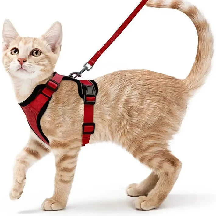 Escape-Proof Cat Harness & Leash