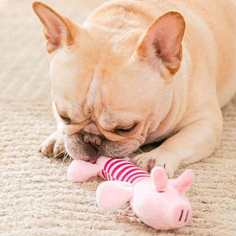 plush squeaky chew toy, view 8 - MRSLM