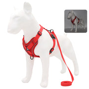 no-pull dog harness and leash set, view 8 - MRSLM