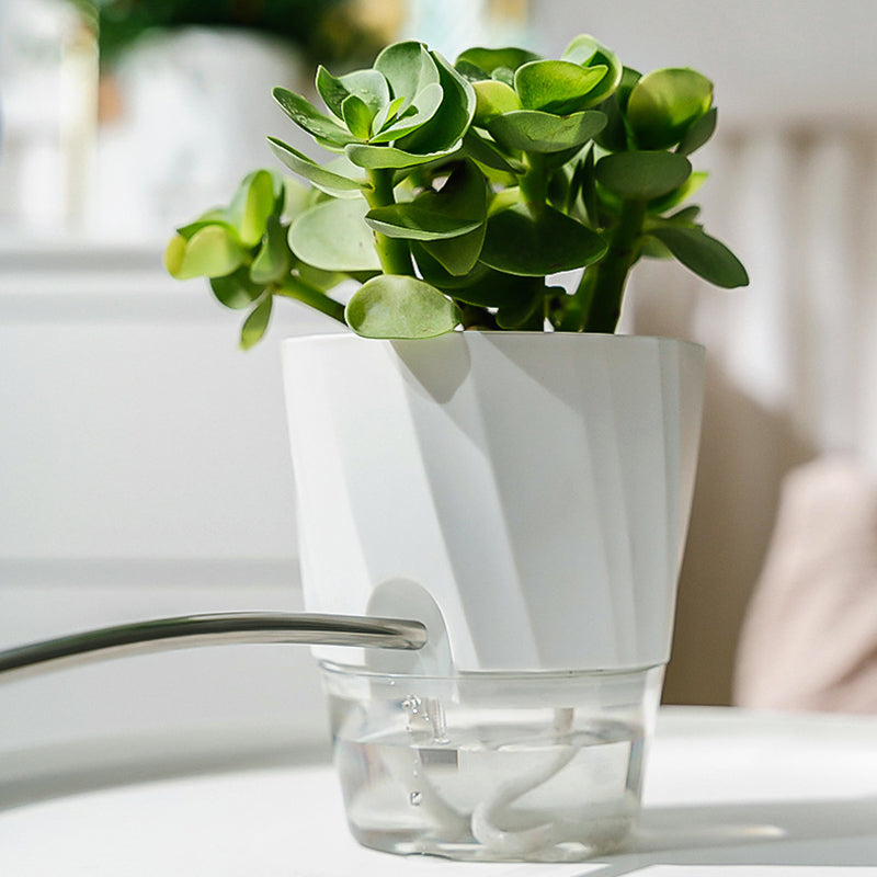 Self-watering transparent planter, view 5 - MRSLM