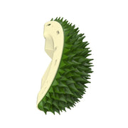 Durian cat toy scratch comb, view 3 - MRSLM