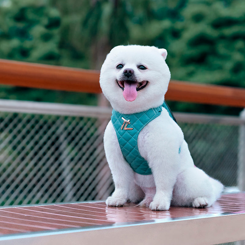 eco-friendly pet harness set, view 9 - MRSLM