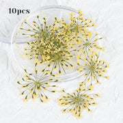 3d dried flower nail art decorations, view 9 - MRSLM