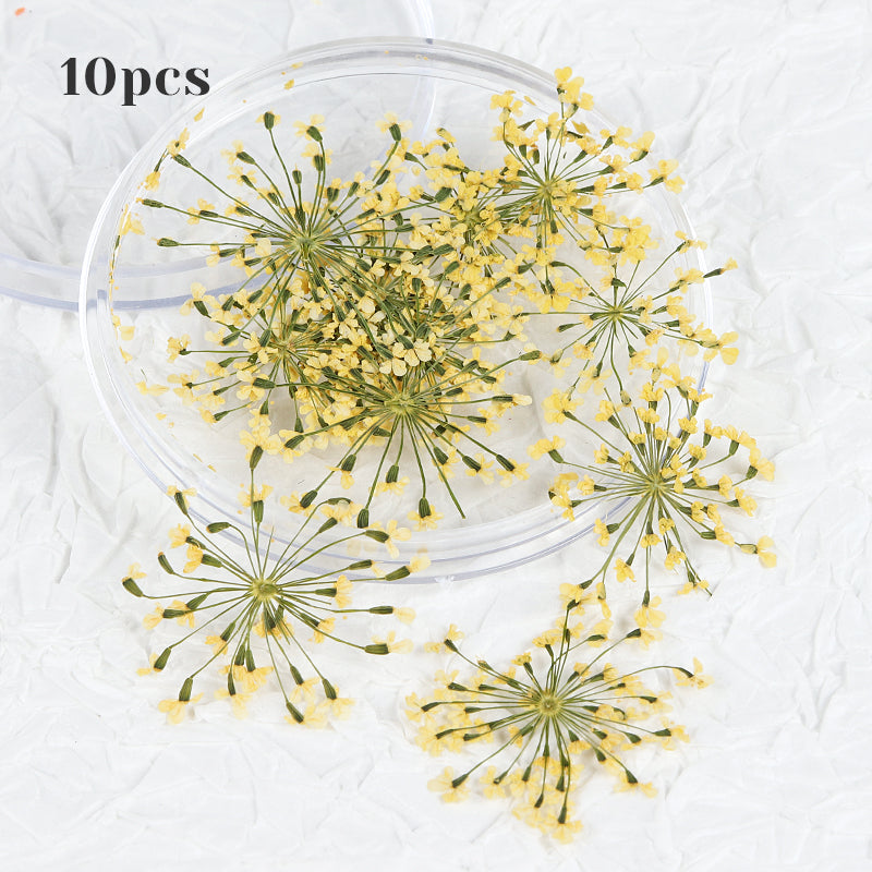 3d dried flower nail art decorations, view 9 - MRSLM