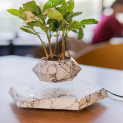levitating plant pot, view 11 - MRSLM