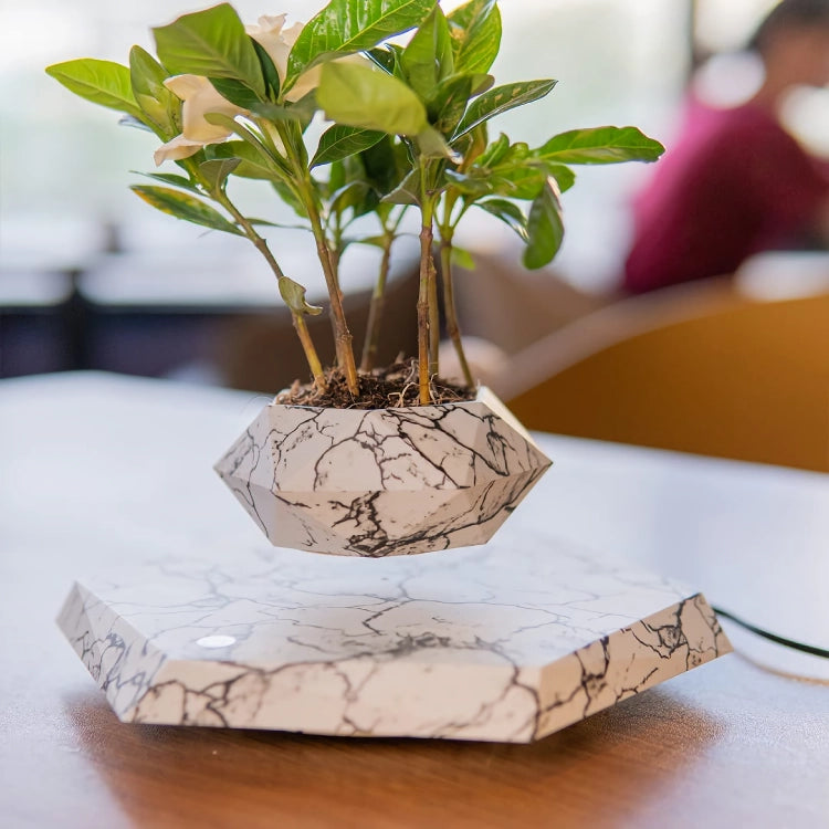 levitating plant pot, view 11 - MRSLM