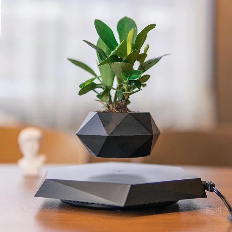 levitating plant pot - MRSLM