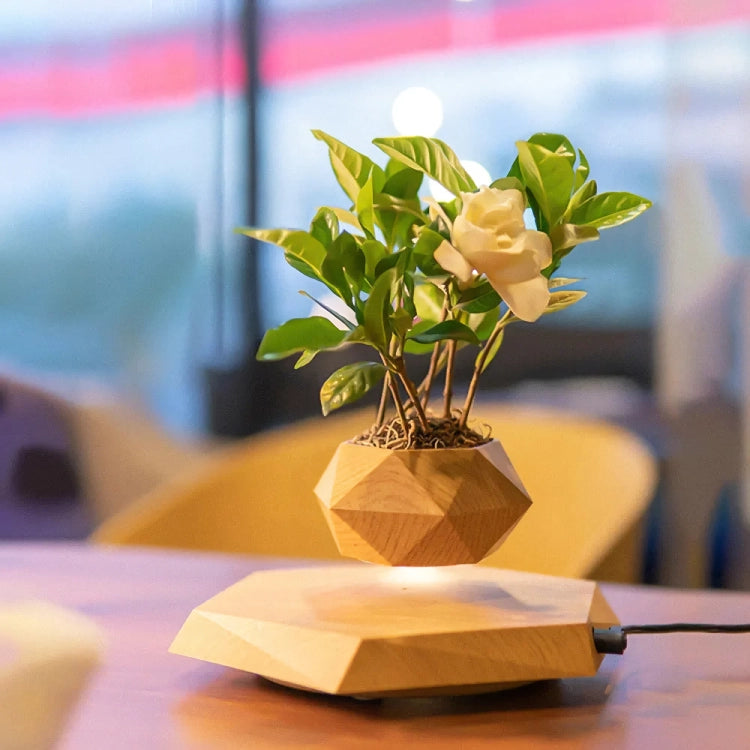 levitating plant pot, view 5 - MRSLM