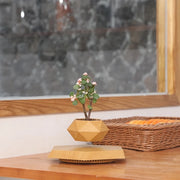levitating plant pot, view 7 - MRSLM