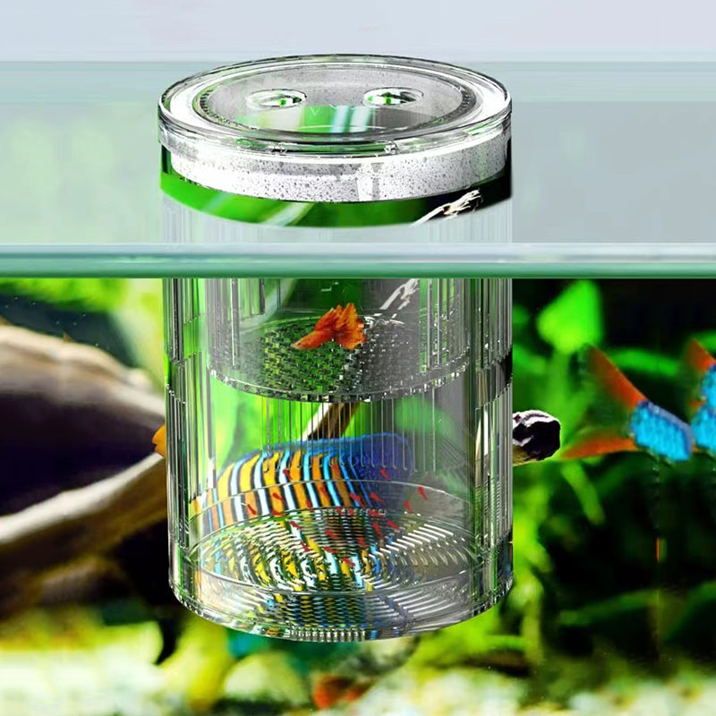 fish breeding isolation box, view 3 - MRSLM