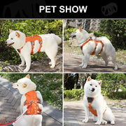 Reflective nylon dog harness, view 8 - MRSLM