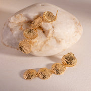 gold plated shell earrings, view 6 - MRSLM