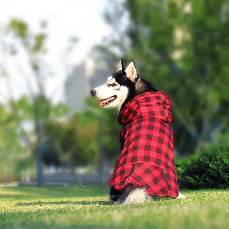 dog winter coat with detachable hood, view 8 - MRSLM