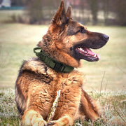 tactical dog harness, view 13 - MRSLM