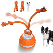 Motion-activated dog toy ball, view 2 - MRSLM