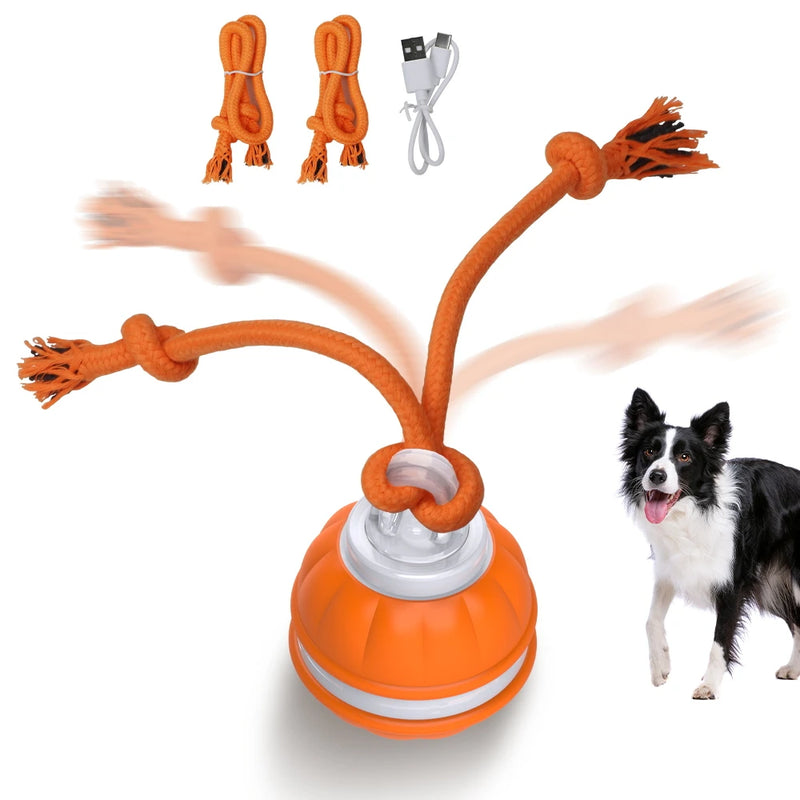 Motion-activated dog toy ball, view 2 - MRSLM